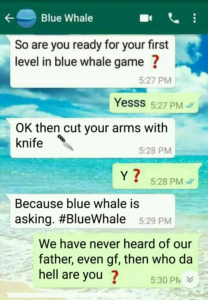 Blue Whale is in trouble in its very first stage